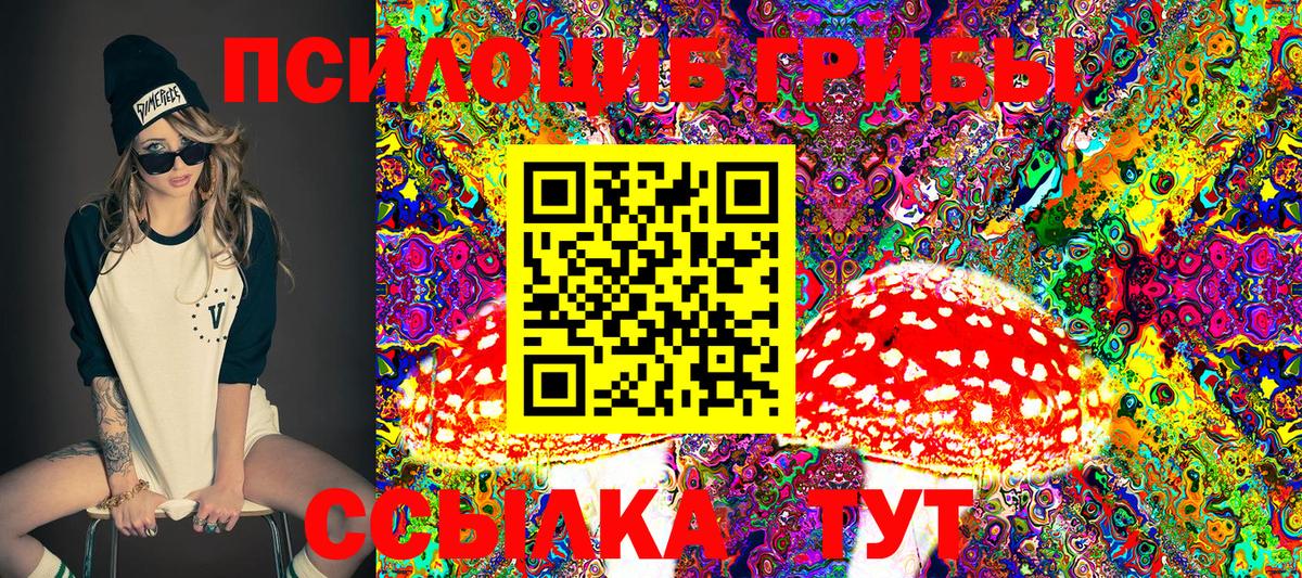 Псилоцибиновые грибы Magic Shrooms  Вход с VPN  даркнет сайт  Галлюциногенные грибы Psilocybine cubensis  Тамбов 